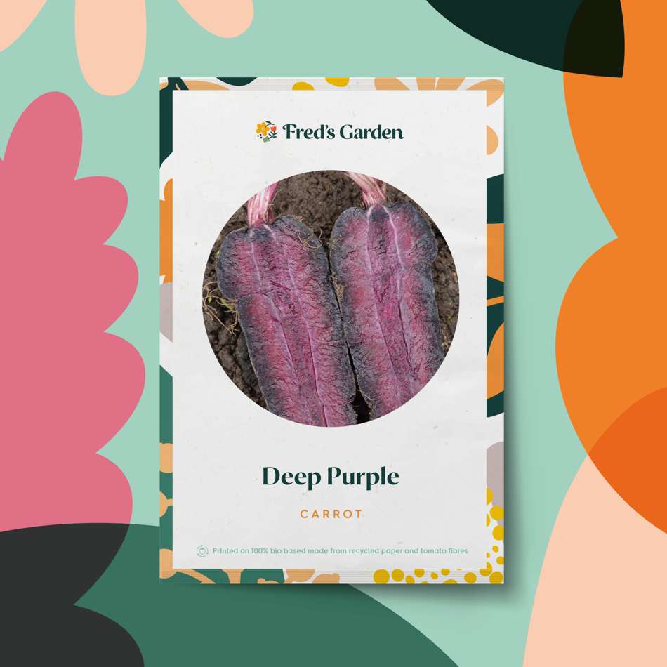 Morot 'Deep Purple' (frö)